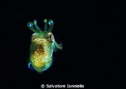 small and small by Salvatore Ianniello 